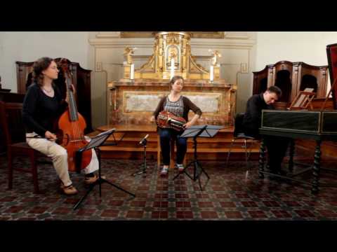 LA BELLE VIELLEUSE // Virtuoso Hurdy Gurdy in the 18th c. France - Ensemble Danguy &amp; Tobie Miller